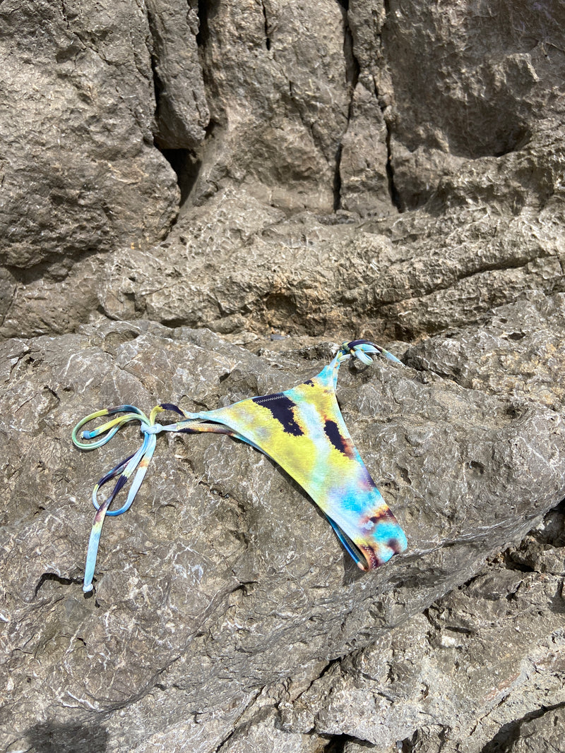 Papilio Bikini Bottom